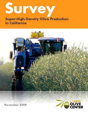 UC Davis Olive Center's Dan Flynn uc-davis-olive-centers-dan-flynn