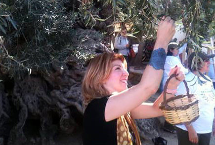 Researchers Say New Tool Measures Olive Oil 'Healthfulness' researchers-say-new-tool-measures-olive-oil-healthfulness