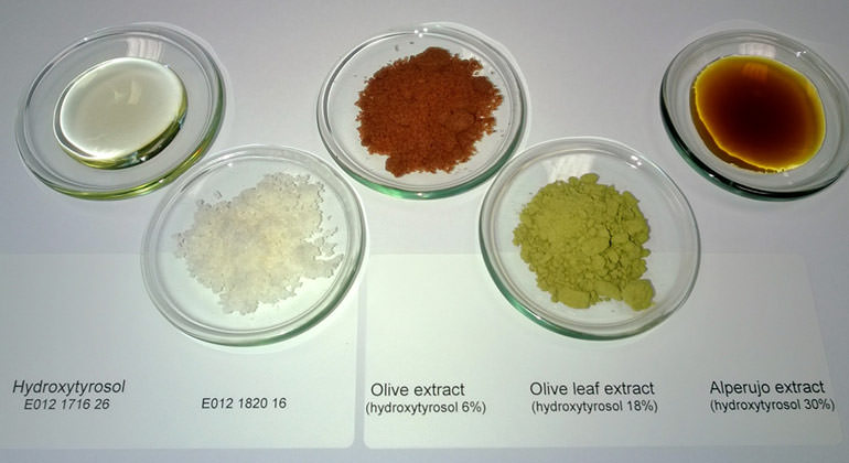How The Olive Compound Hydroxytyrosol Helps Stop Infections how-the-olive-compound-hydroxytyrosol-helps-stop-infections