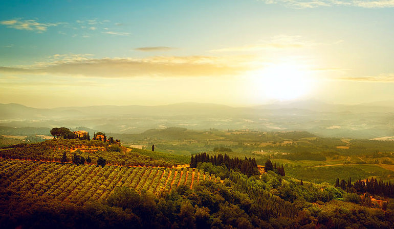Finding Where One Umbrian Producer Leaves the Biggest Footprint finding-where-one-umbrian-producer-leaves-the-biggest-footprint