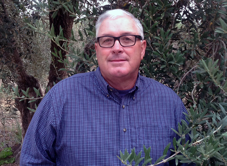 One California Olive Farmer Calls it Quits one-california-olive-farmer-calls-it-quits
