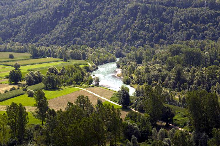 Olives Reach New Heights in Valtellina olives-reach-new-heights-in-valtellina