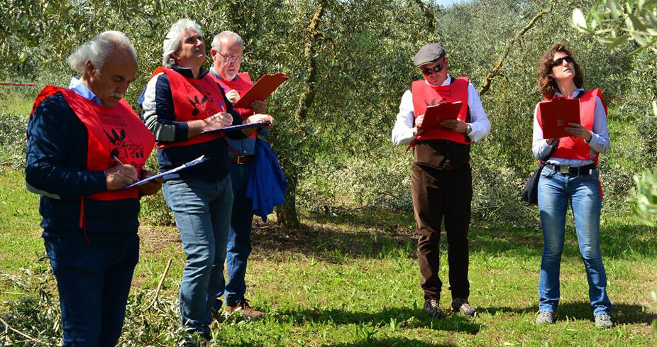 Italy Crowns Pruning Champ italy-crowns-pruning-champ