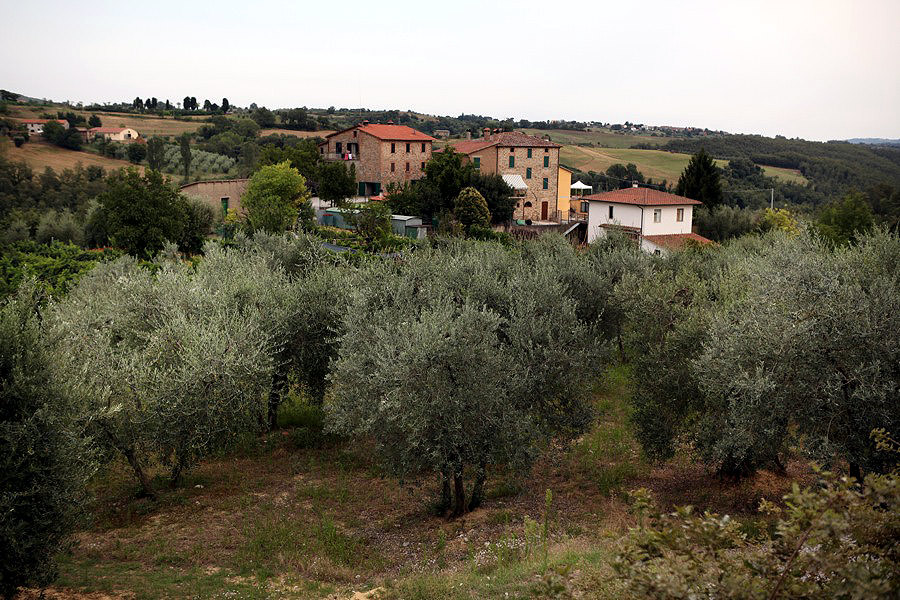 Farmers in Italy Optimistic as Harvest Season Nears farmers-in-italy-optimistic-as-harvest-season-nears