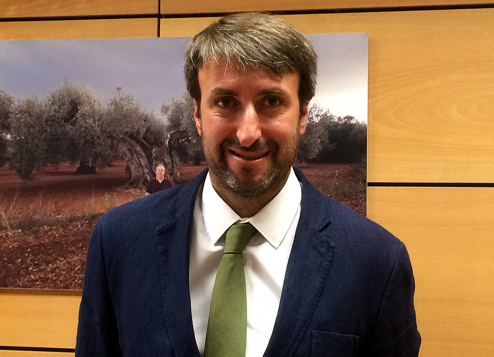New Deputy Directors at International Olive Council new-deputy-directors-at-international-olive-council