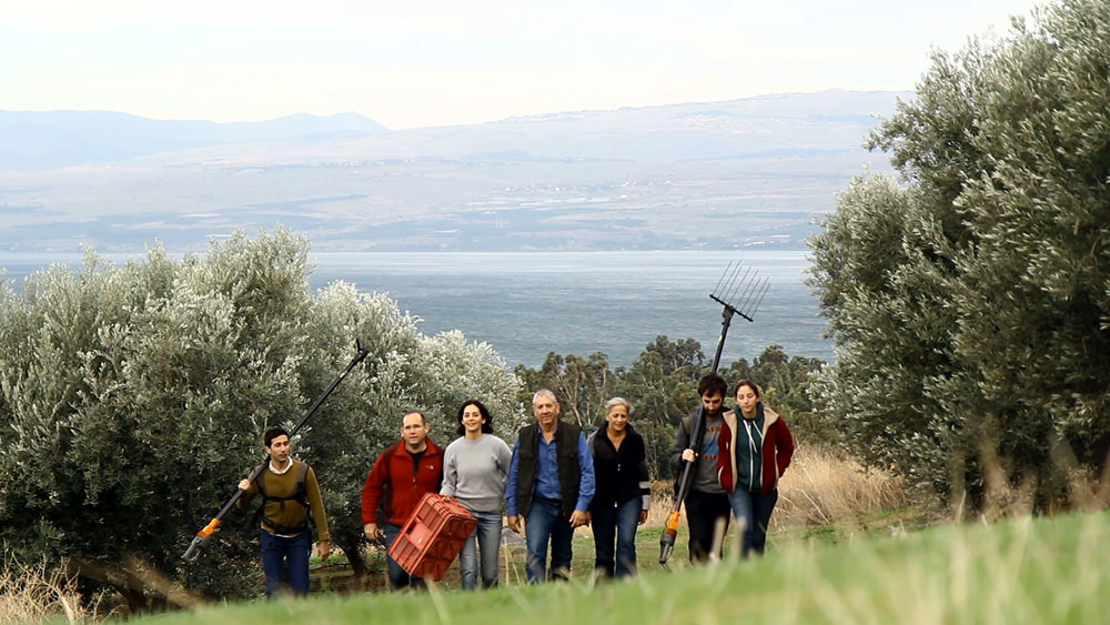 From Golan Heights, Olive Farmer Sees New Markets for His Skincare Line from-golan-heights-olive-farmer-sees-new-markets-for-his-skincare-line