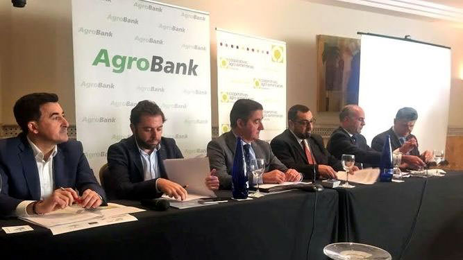 Spanish Cooperatives Meet in Córdoba spanish-cooperatives-meet-in-cordoba