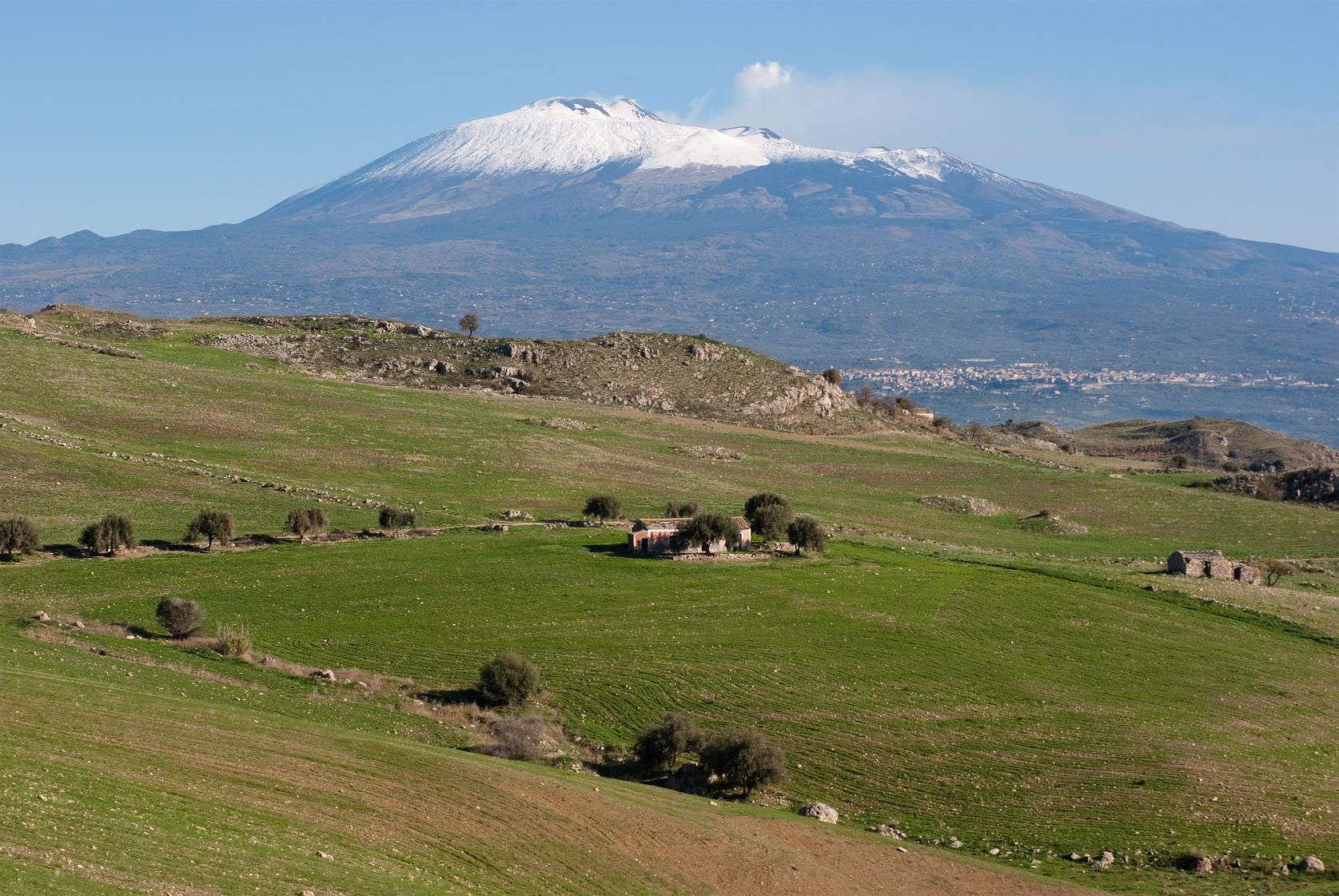 Mount Etna, Sicily's Gentle Giant That Nourishes Olive Trees mount-etna-sicilys-gentle-giant-that-nourishes-olive-trees