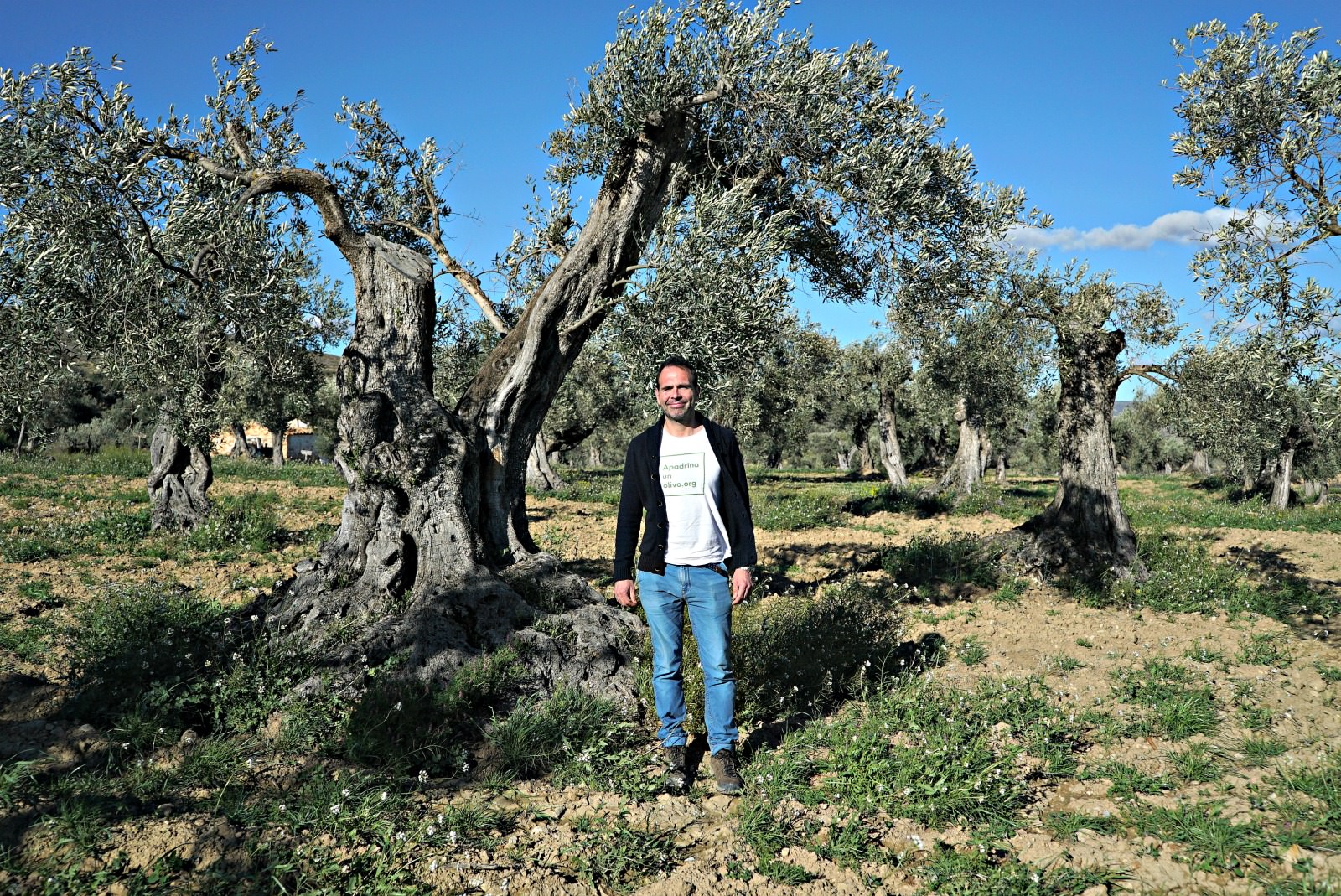 Adoption Program Saves Town, One Tree at a Time adoption-program-saves-town-one-tree-at-a-time
