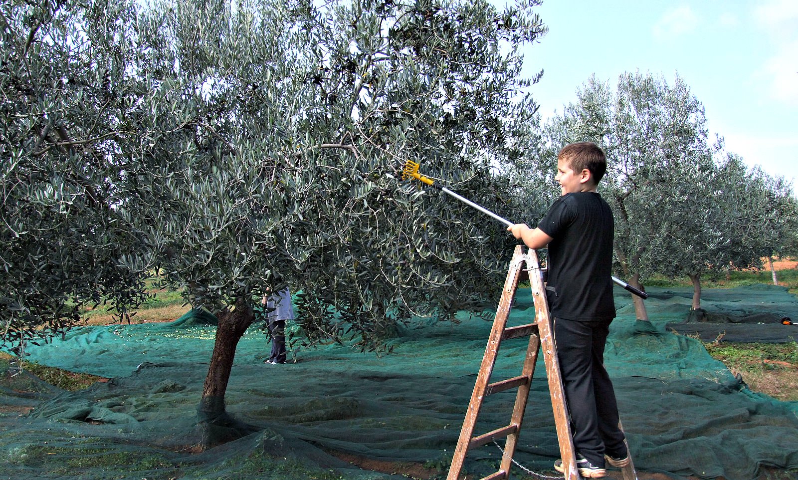 Croatians' Pursuit of Quality Pays Off at NYIOOC croatians-pursuit-of-quality-pays-off-at-nyiooc