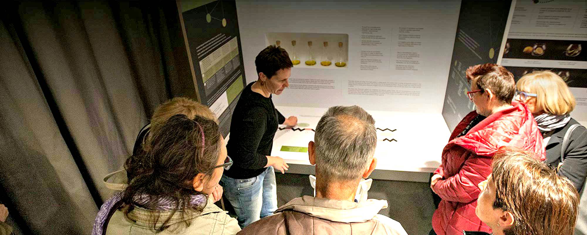 Museum of Istrian Olive Oil Opens in Pula, Croatia museum-of-istrian-olive-oil-opens-in-pula-croatia