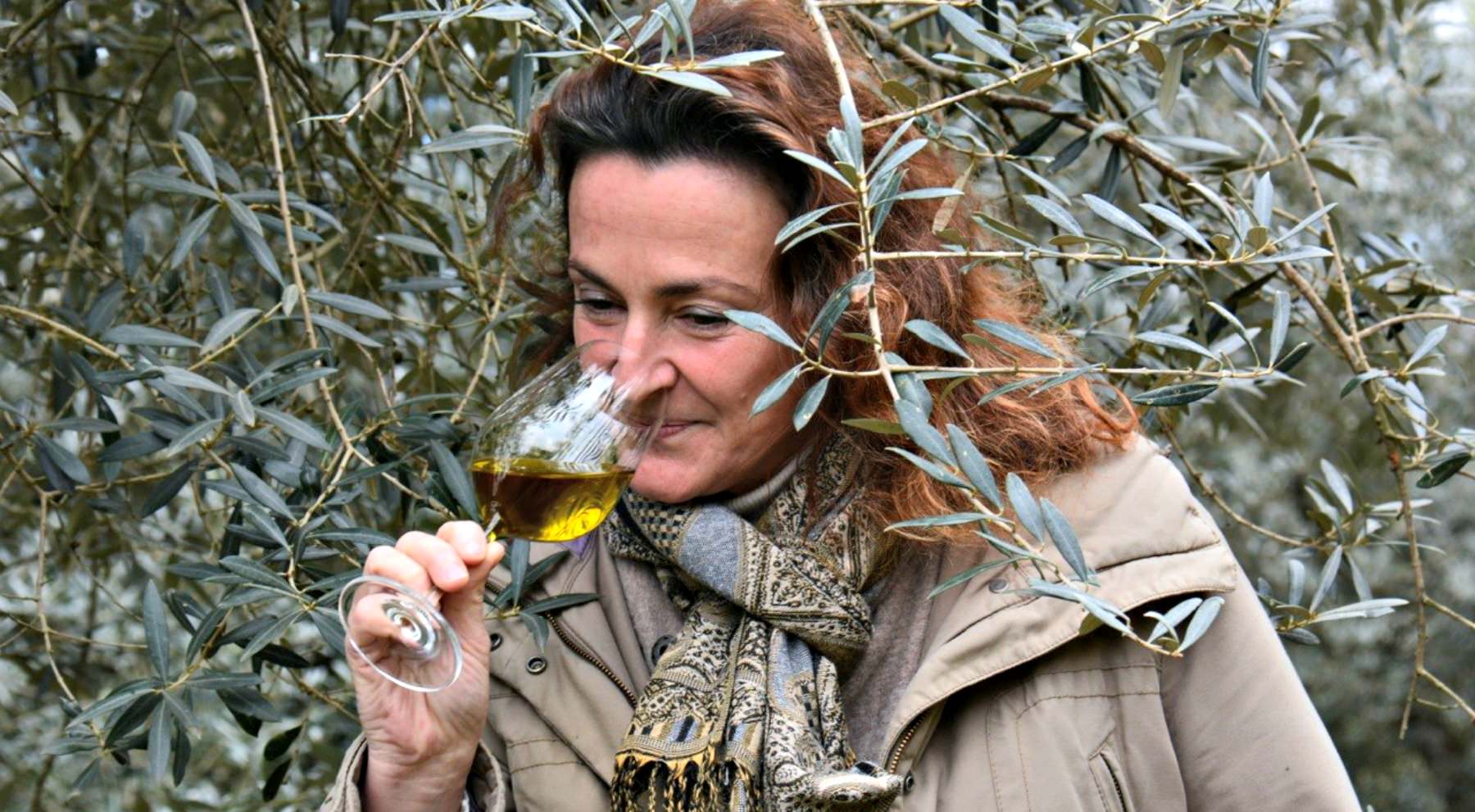 Heat Wave Challenges Italian Olive Growers heat-wave-challenges-italian-olive-growers